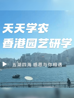 与香港园艺学会联合举办香港园艺研学，专业园境师带队讲解。