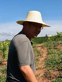 农业人叶涛，50多岁通讯人跨界搞农业，他要用1000万打造一个梦。